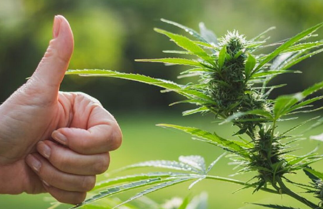 New York Officials Reach Agreement To Legalize Marijuana
