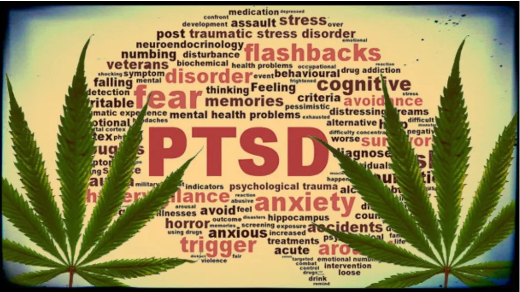 Veterans Try Cannabis To Treat PTSD