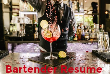 Bartender Resume Template