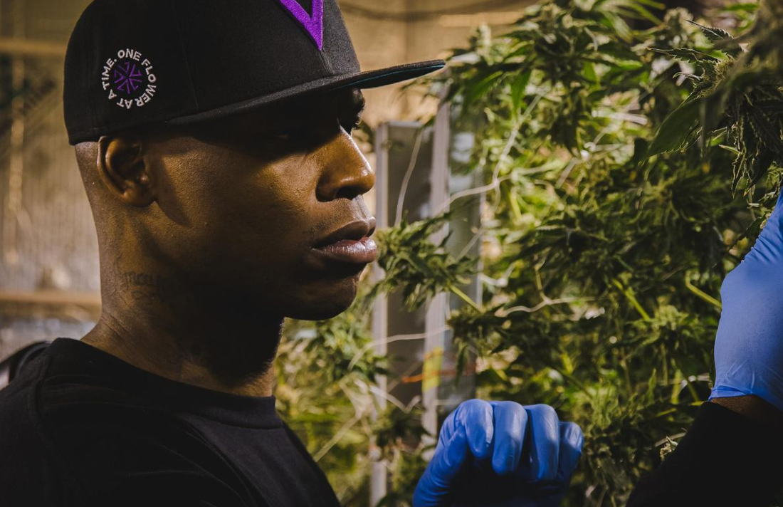 The First Black-Owned Multinational Cannabis Brand: Al Harrington’s Viola To Launch In Canada