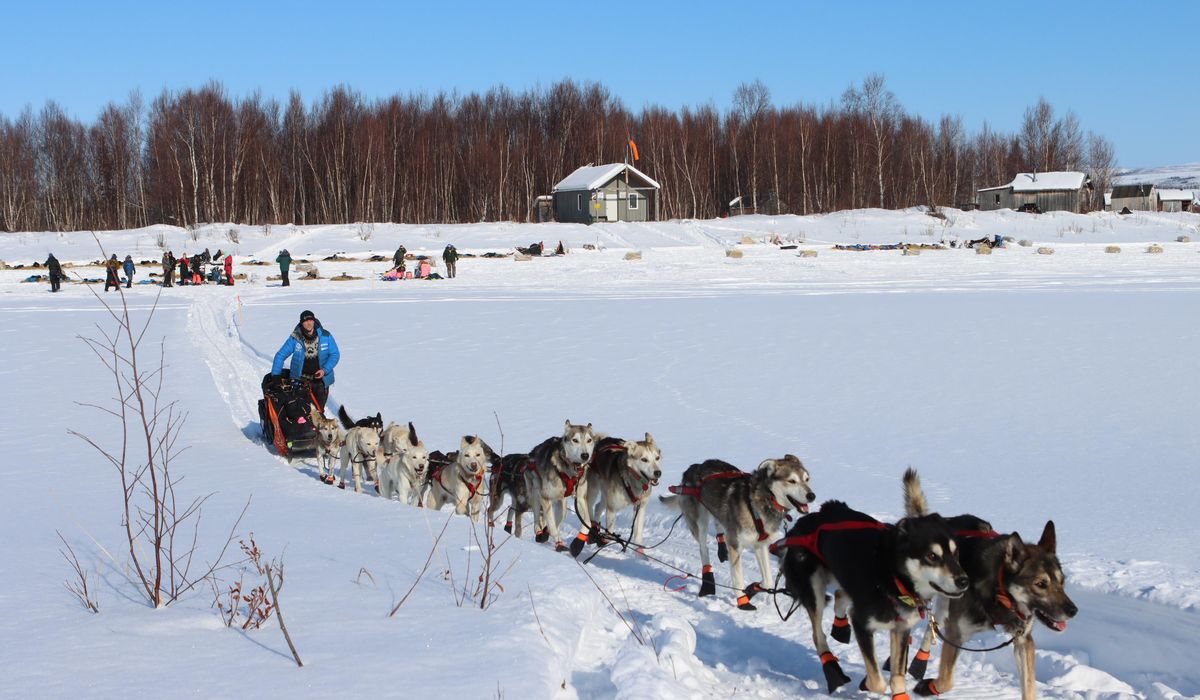 Last musher brings dogs over Alaska’s Iditarod finish line