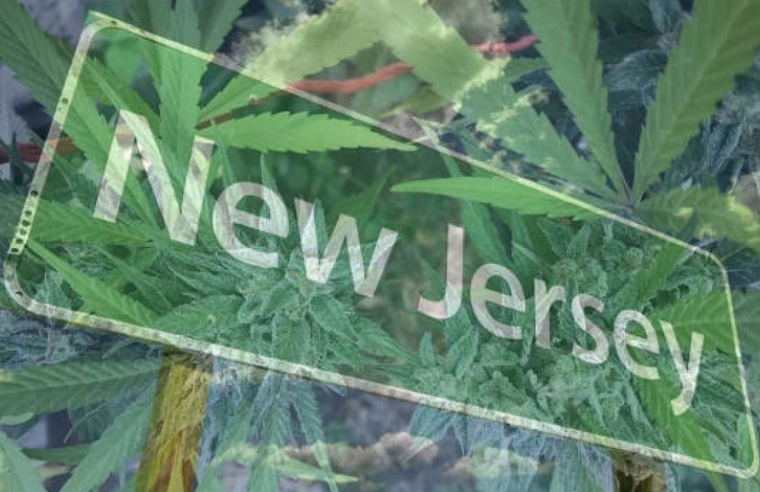 What Can, Can’t You Do With Cannabis in New Jersey Now?